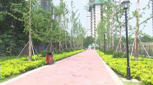 濟寧鄒城市 綠地建設重點發力，噴泉設計巧融綠意，民生福祉悄然升級